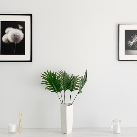 Apartament Chyba Snisz Łańcut エクステリア 写真