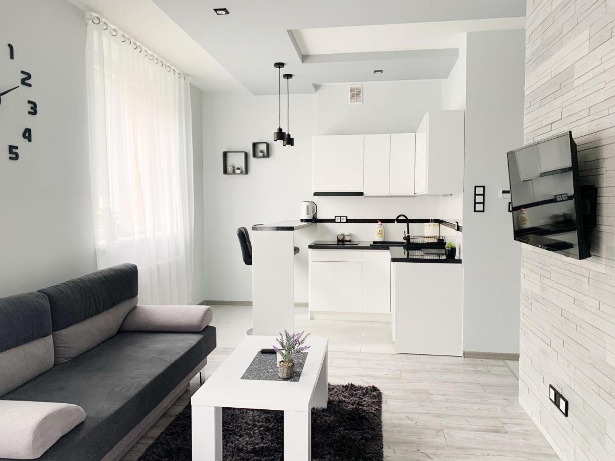 Apartament Chyba Snisz Łańcut エクステリア 写真