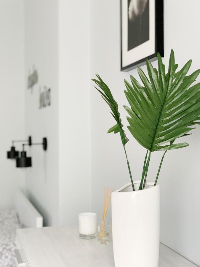 Apartament Chyba Snisz Łańcut エクステリア 写真