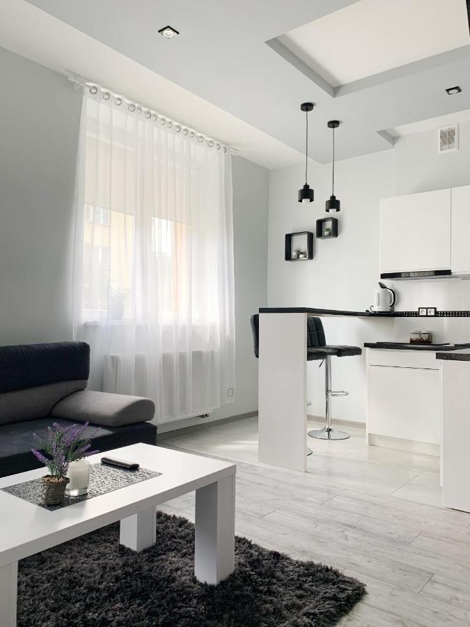 Apartament Chyba Snisz Łańcut エクステリア 写真